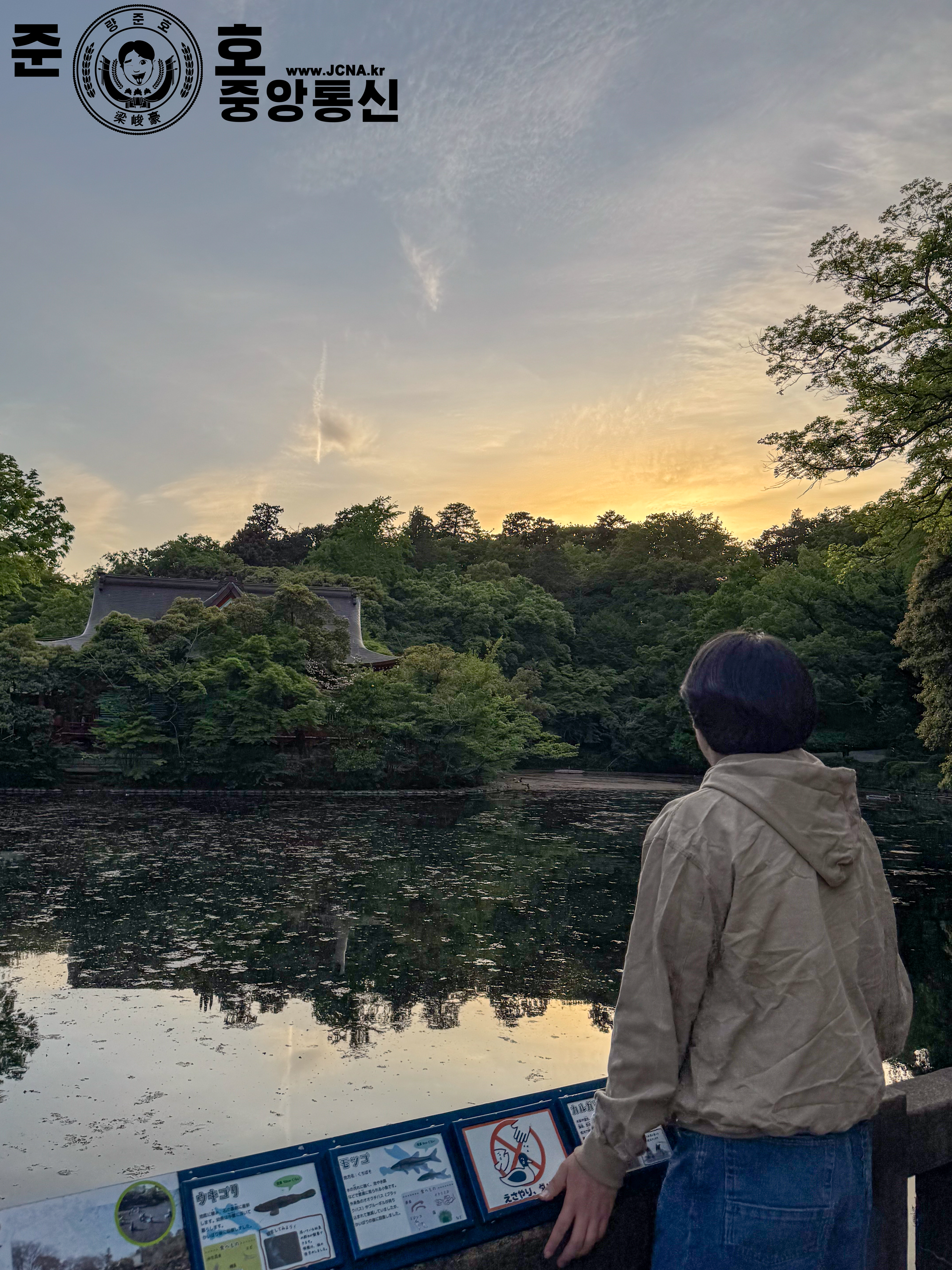 관련 사진 7