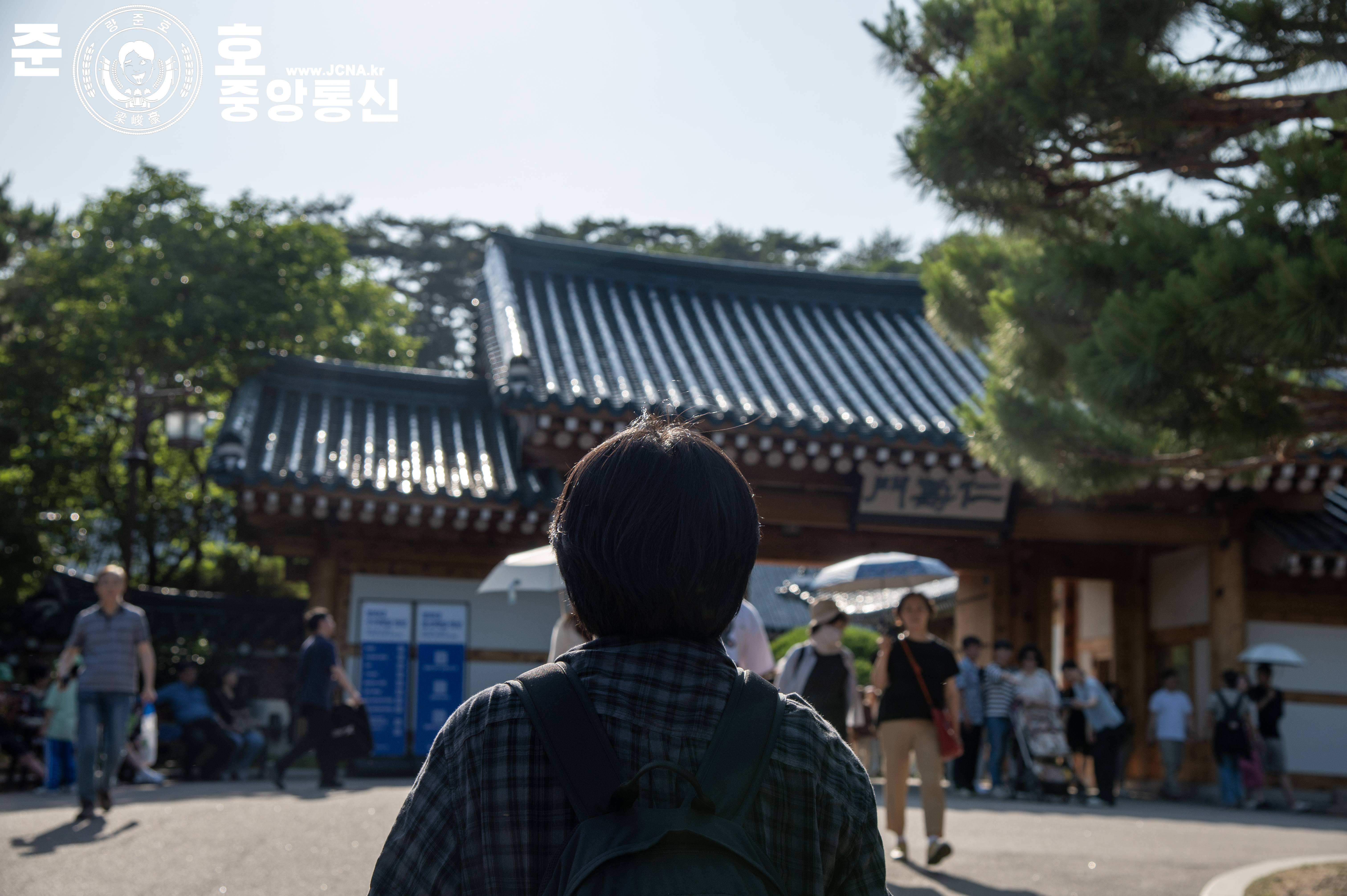 관련 사진 3