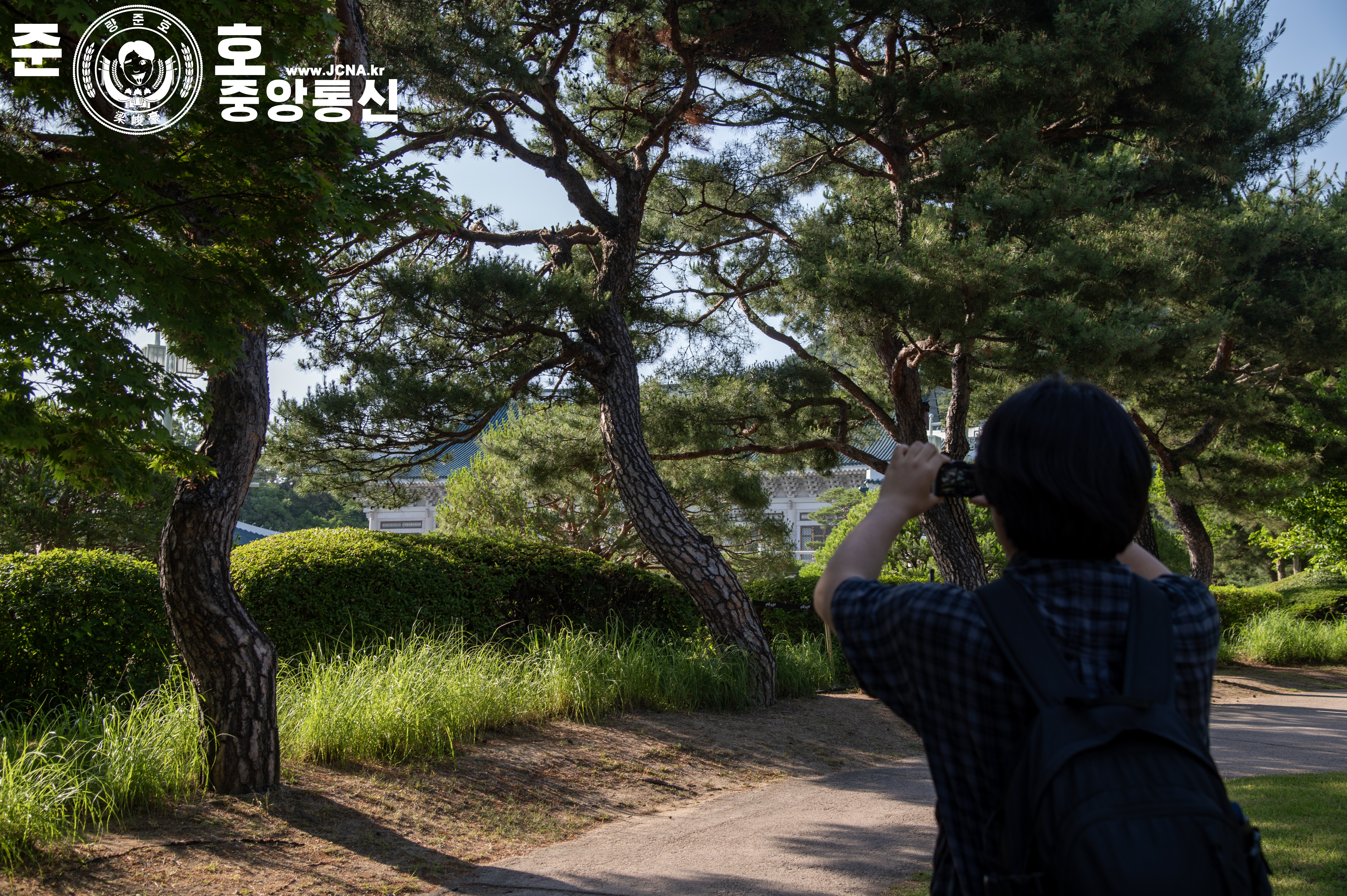 관련 사진 6