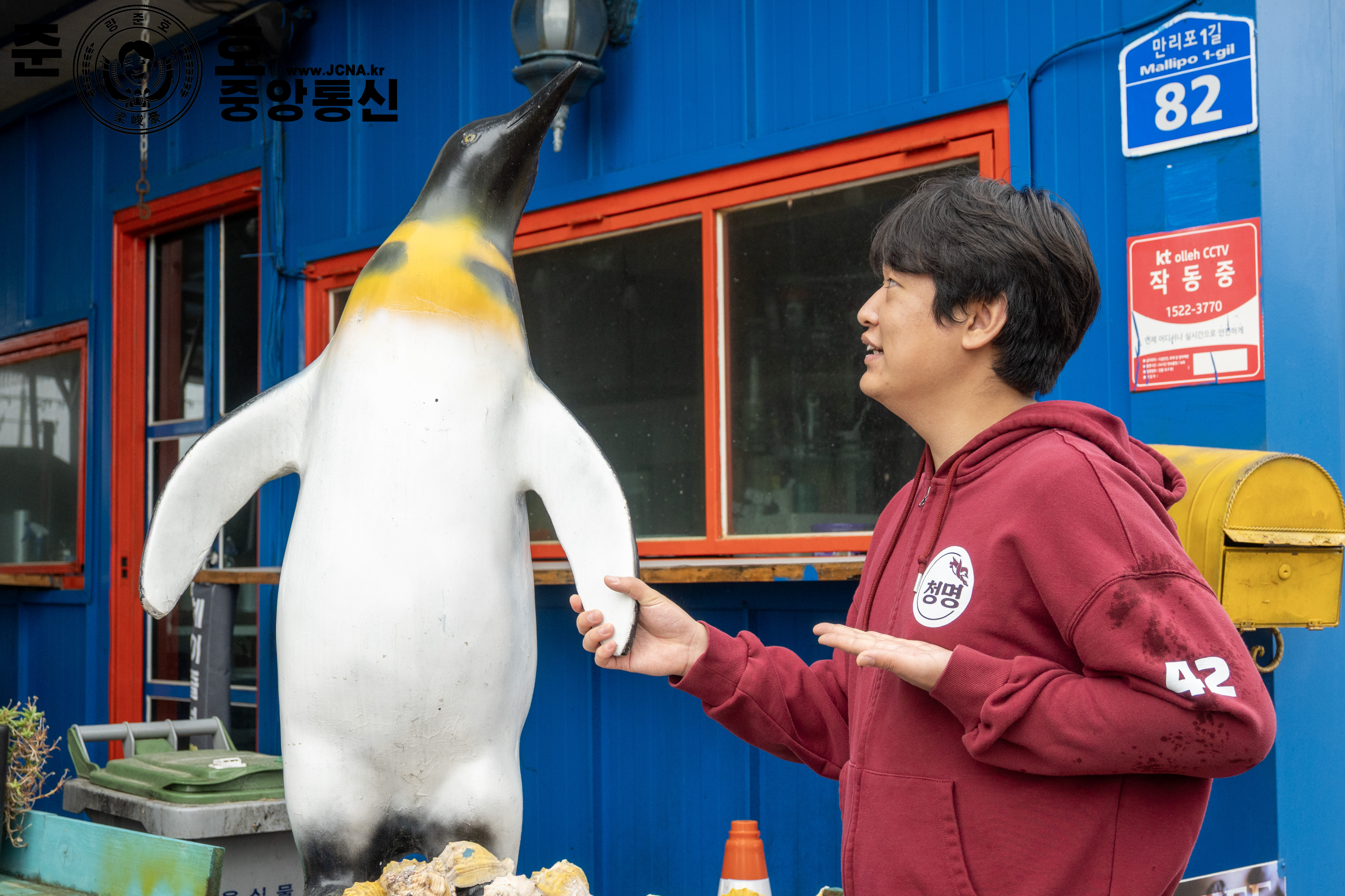 관련 사진 4